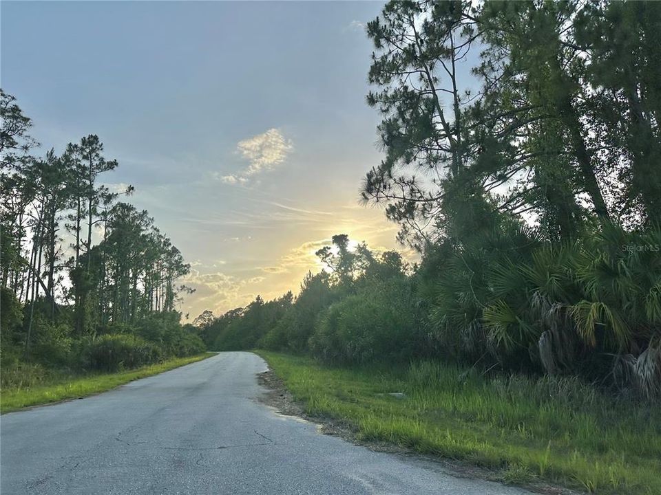 En Venta: $35,000 (0.31 acres)