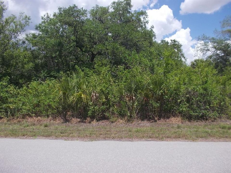 На продажу: $114,900 (1.25 acres)