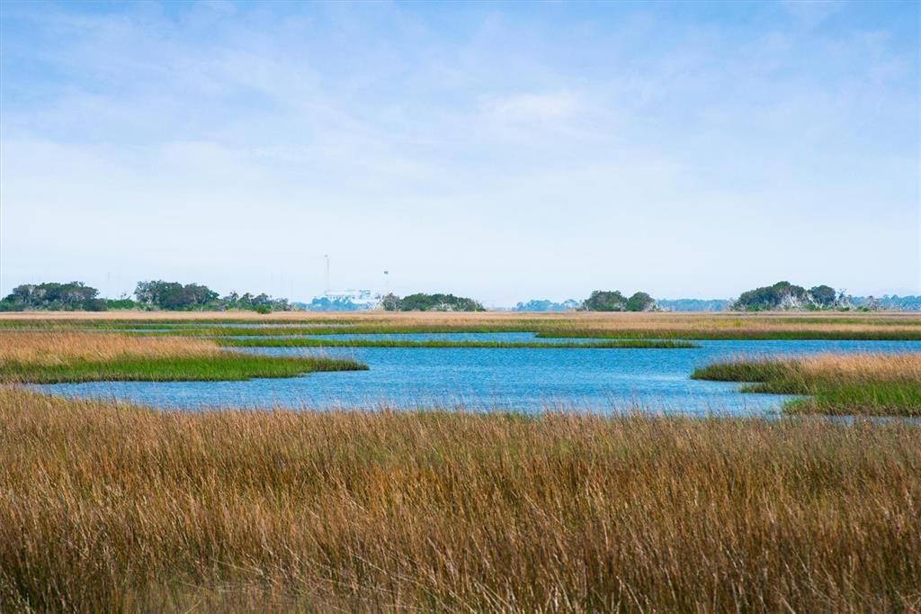 待售: $389,000 (1.41 acres)