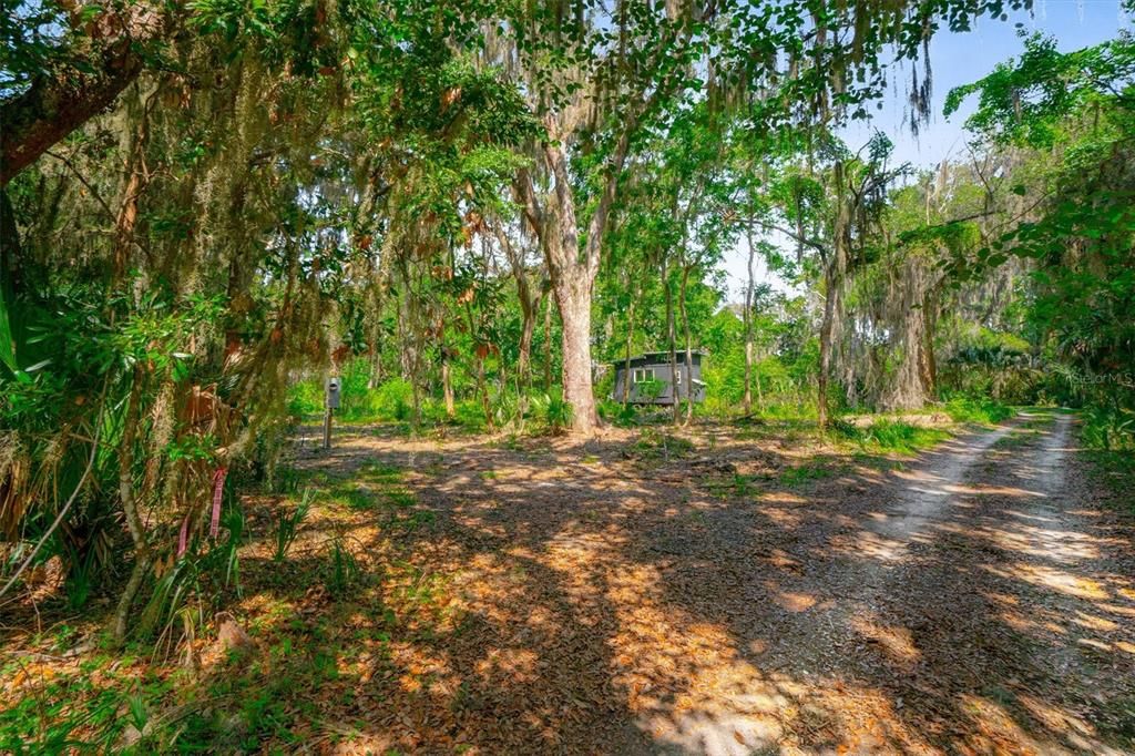 待售: $389,000 (1.41 acres)