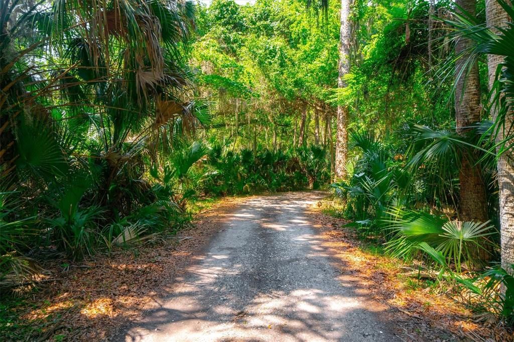 待售: $389,000 (1.41 acres)