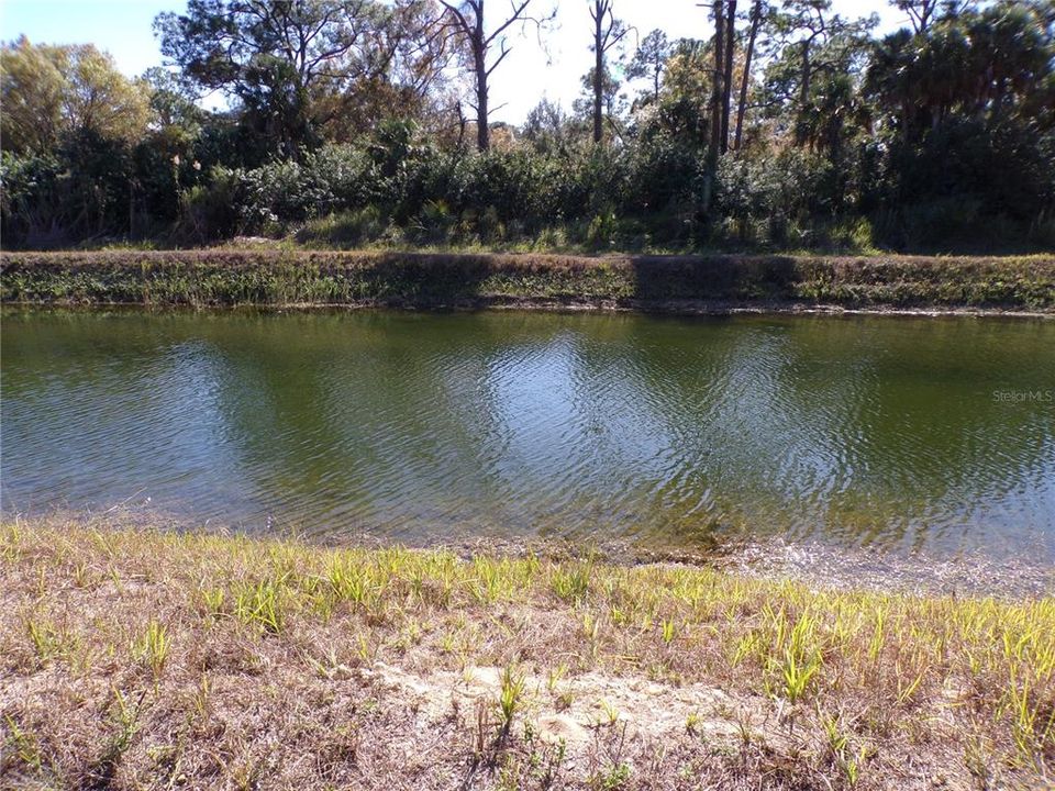 En Venta: $19,995 (0.28 acres)