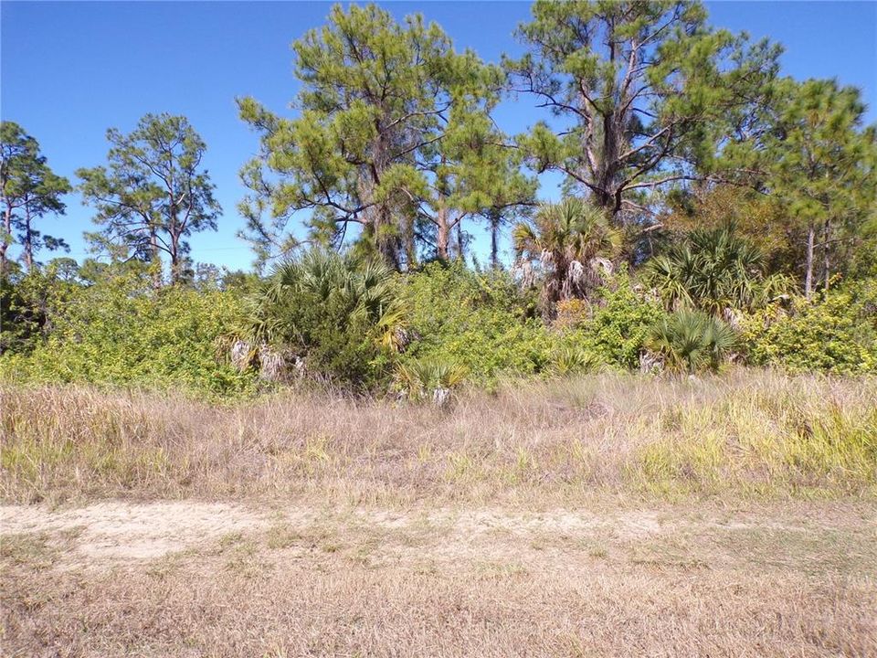 En Venta: $19,995 (0.28 acres)