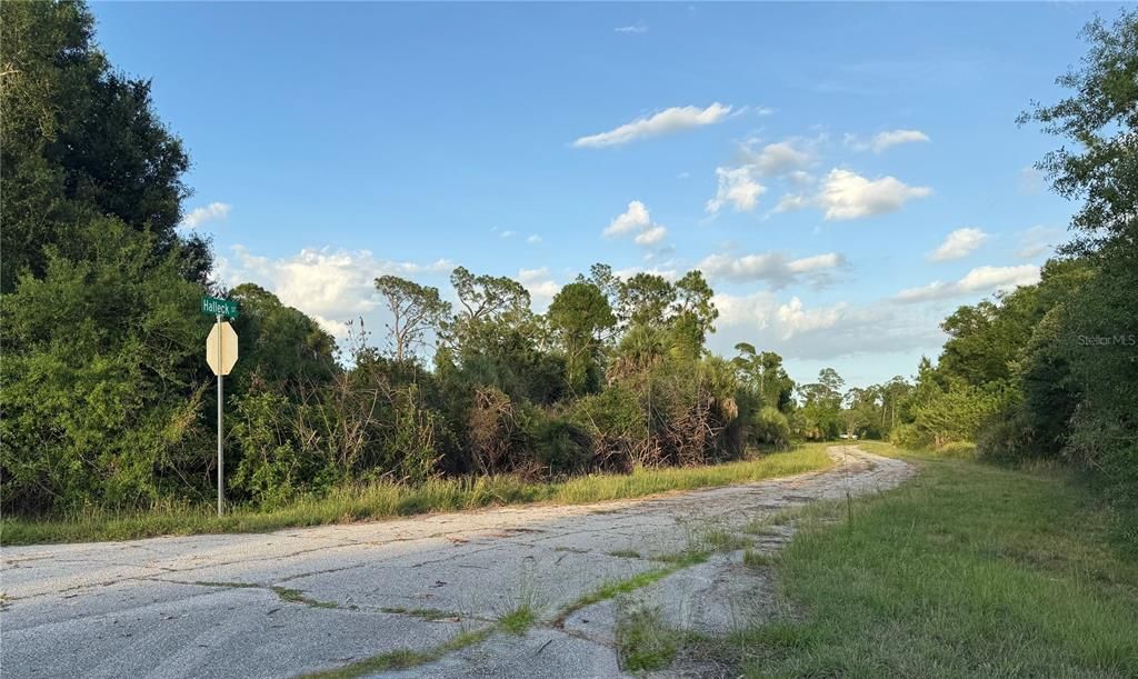 待售: $35,000 (0.25 acres)