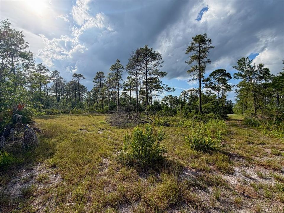 For Sale: $24,900 (0.17 acres)
