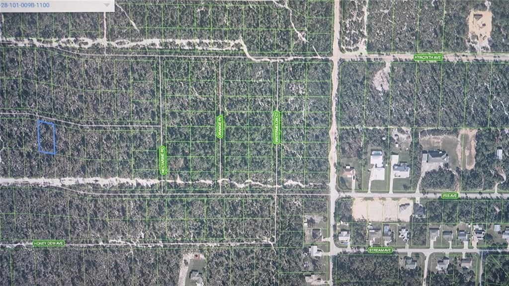 For Sale: $3,999 (0.30 acres)