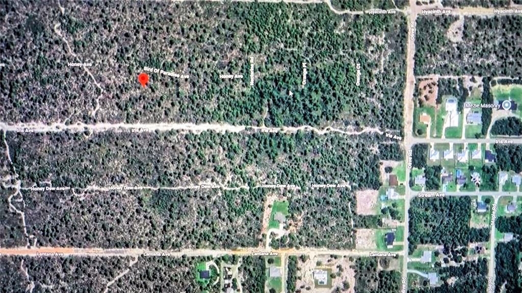 For Sale: $3,999 (0.30 acres)