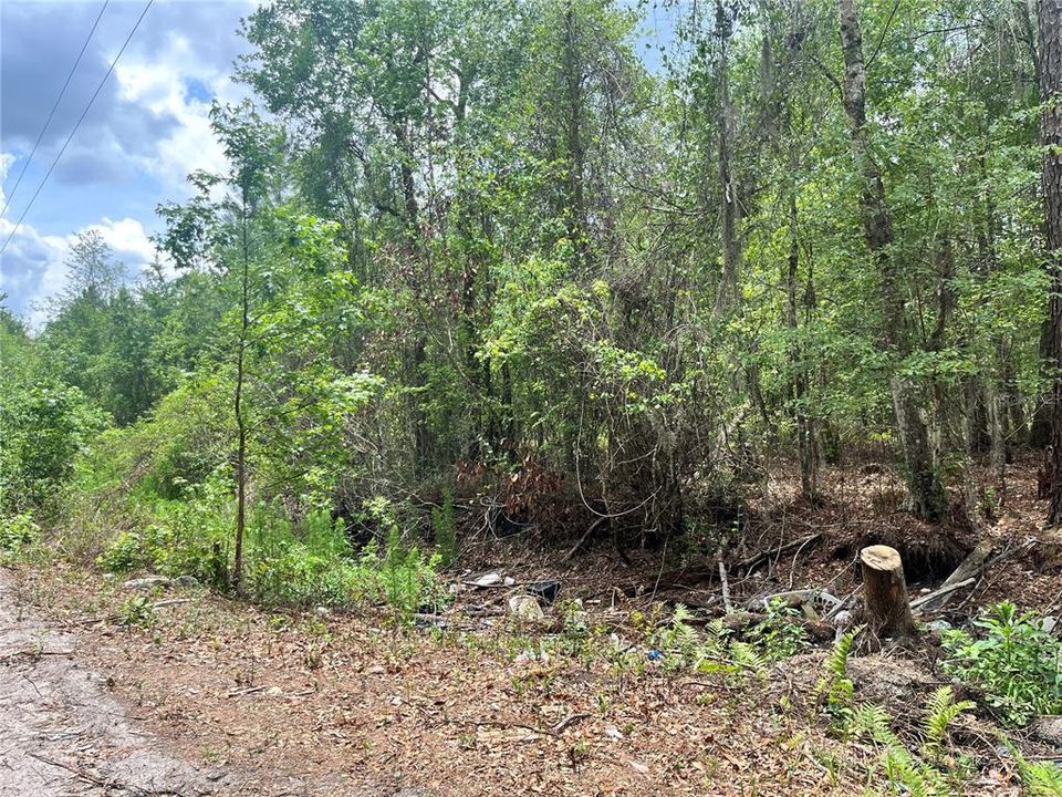 For Sale: $395,000 (22.54 acres)