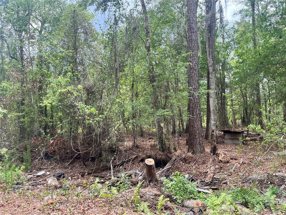 For Sale: $395,000 (22.54 acres)