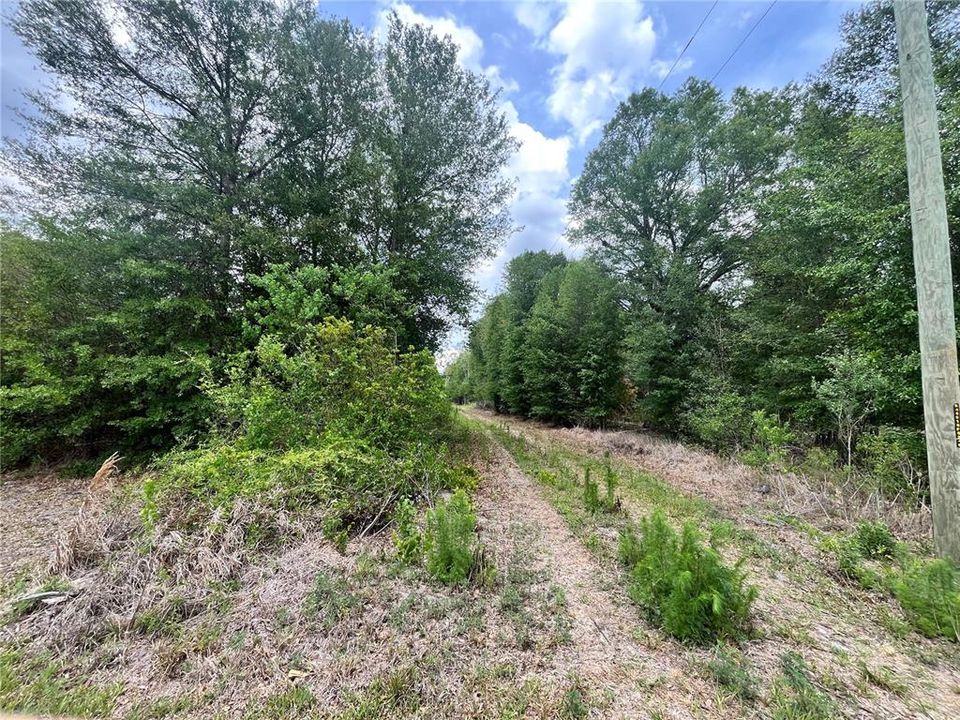 For Sale: $395,000 (22.54 acres)