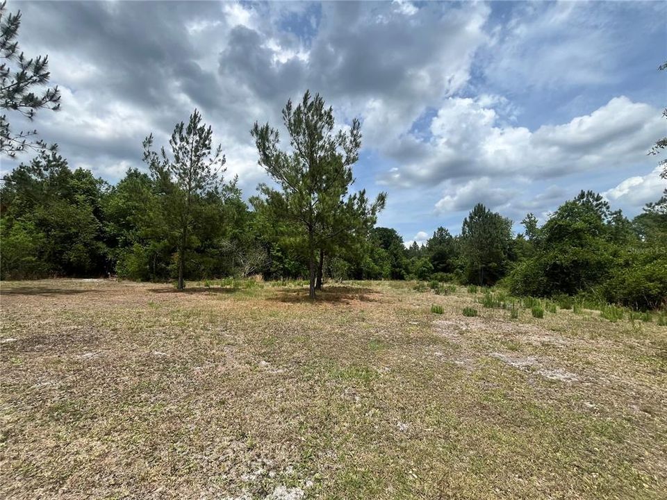 For Sale: $395,000 (22.54 acres)