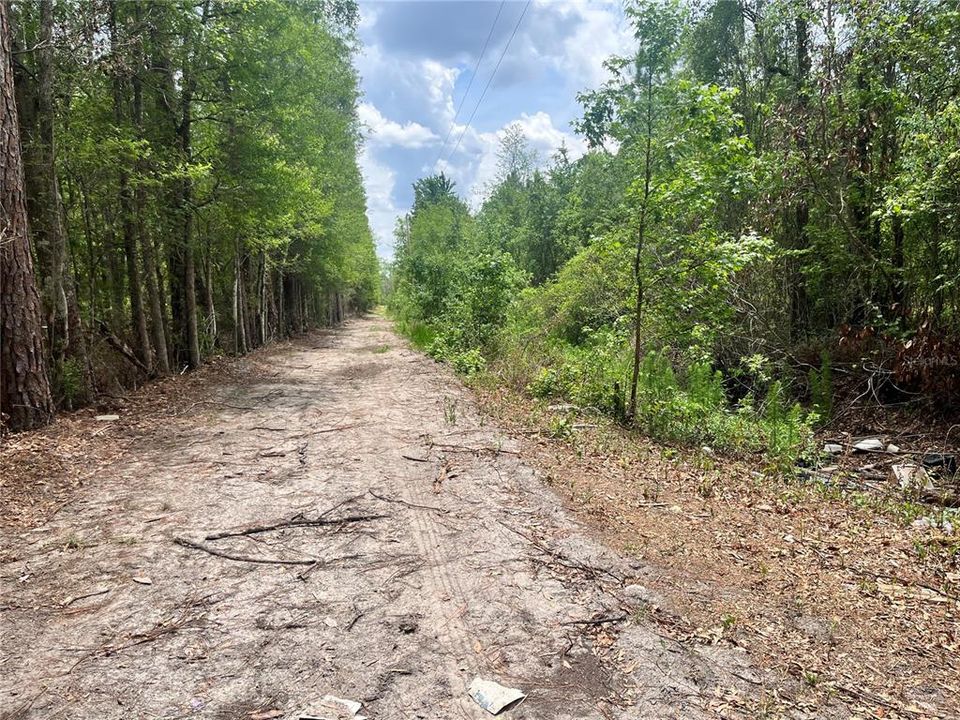 For Sale: $395,000 (22.54 acres)