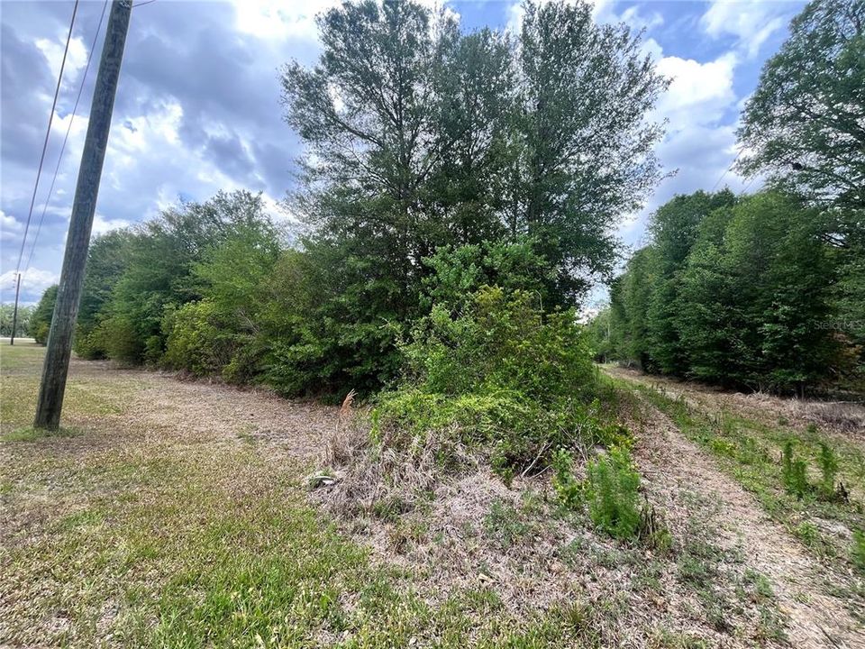 For Sale: $395,000 (22.54 acres)