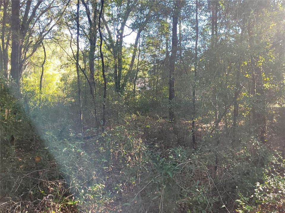 待售: $22,500 (0.23 acres)