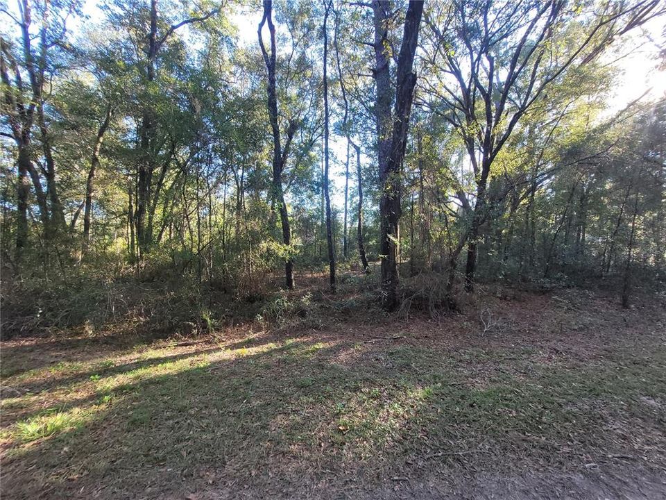 待售: $22,500 (0.23 acres)