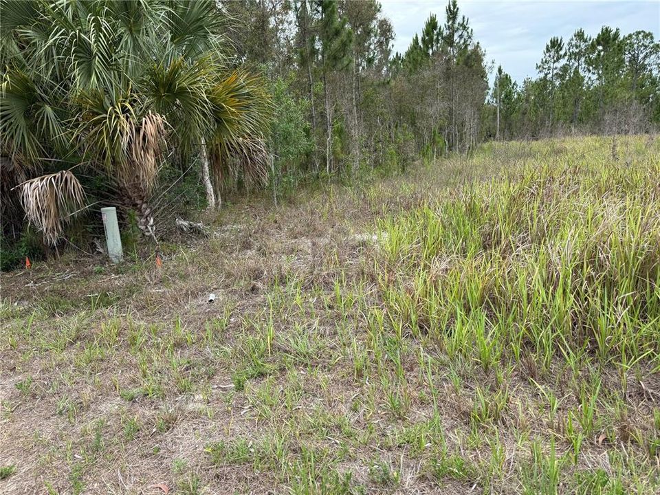 待售: $39,900 (0.50 acres)