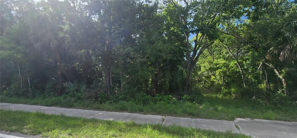For Sale: $40,000 (1.10 acres)