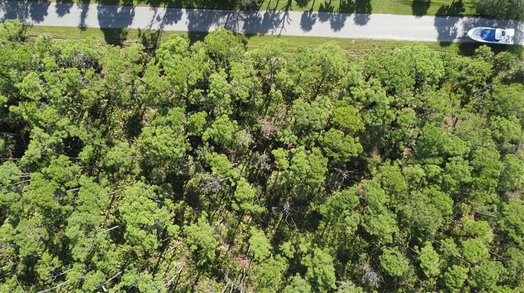 待售: $13,999 (0.23 acres)
