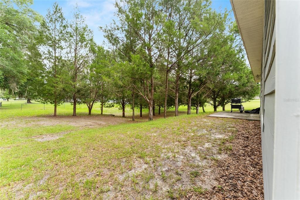 For Sale: $339,000 (3 beds, 2 baths, 1436 Square Feet)