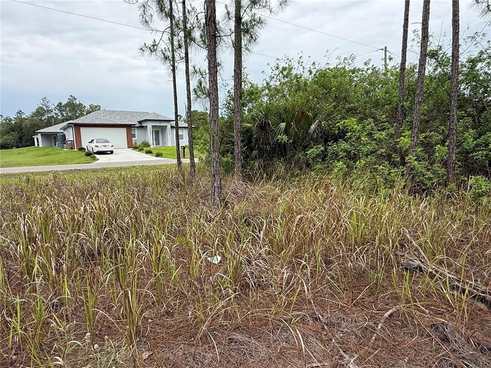 For Sale: $25,900 (0.25 acres)