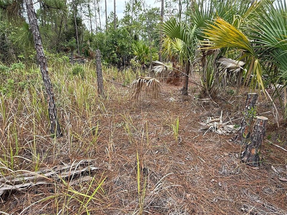 For Sale: $25,900 (0.25 acres)