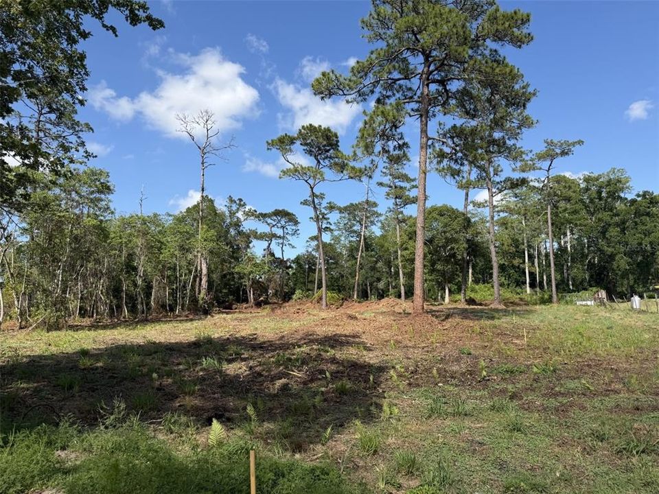 Recently Sold: $124,990 (1.40 acres)