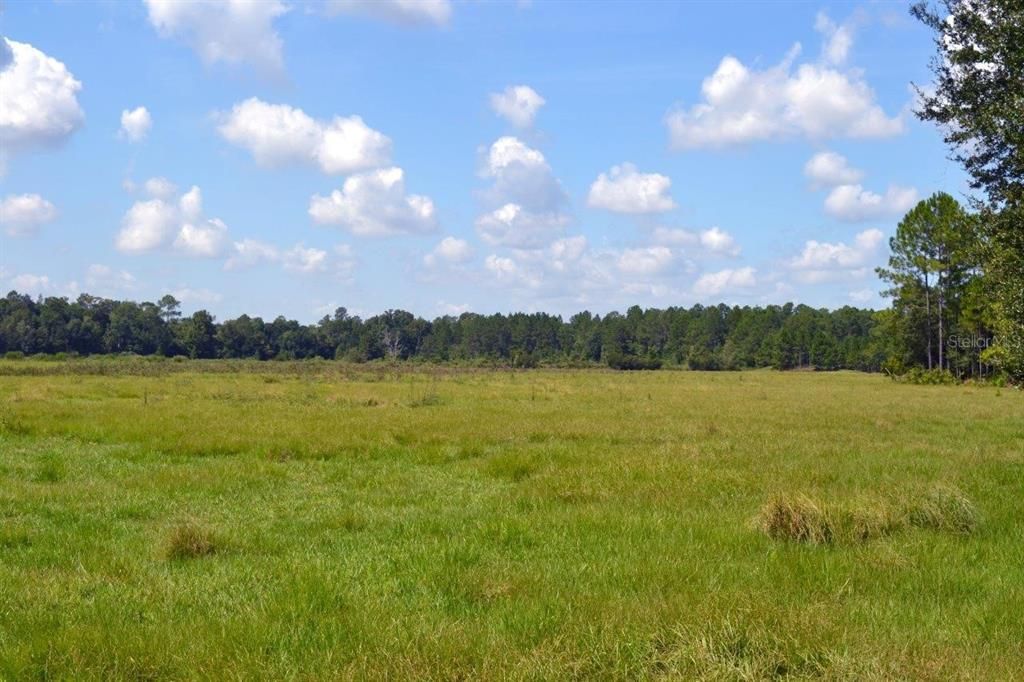For Sale: $179,900 (1.72 acres)