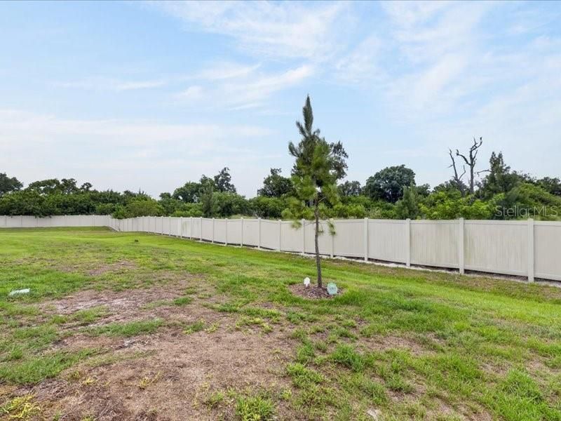 На продажу: $325,000 (3 спален, 2 ванн, 1802 Квадратных фут)