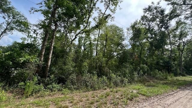 For Sale: $75,000 (1.53 acres)