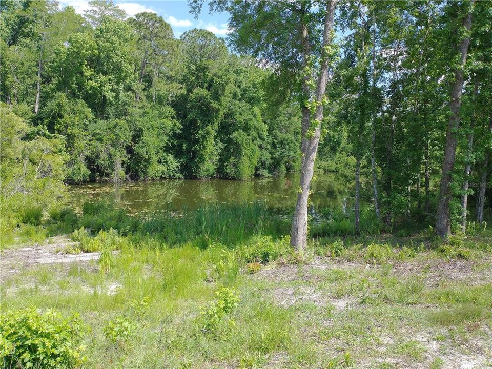 For Sale: $125,000 (0.30 acres)
