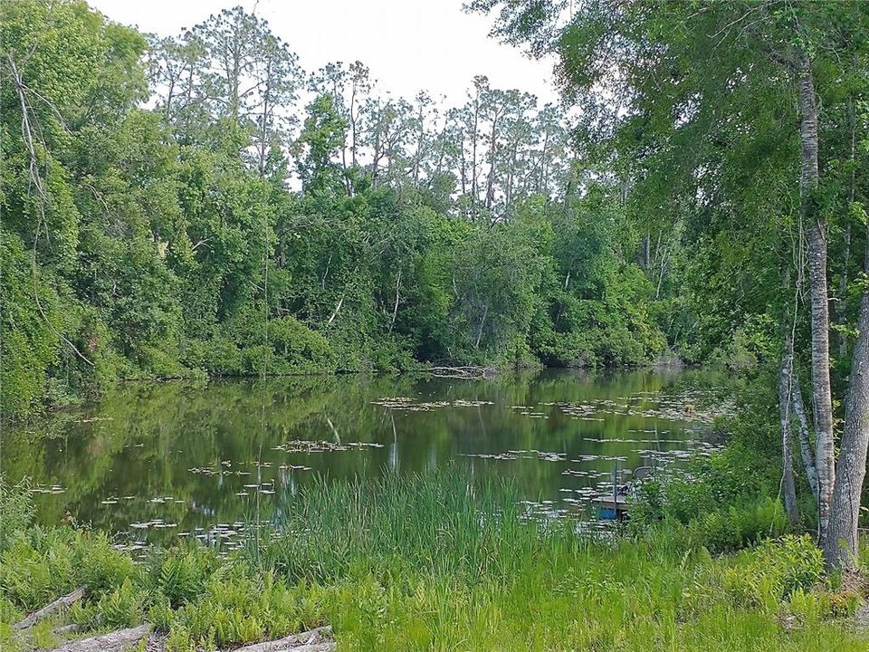 For Sale: $125,000 (0.30 acres)