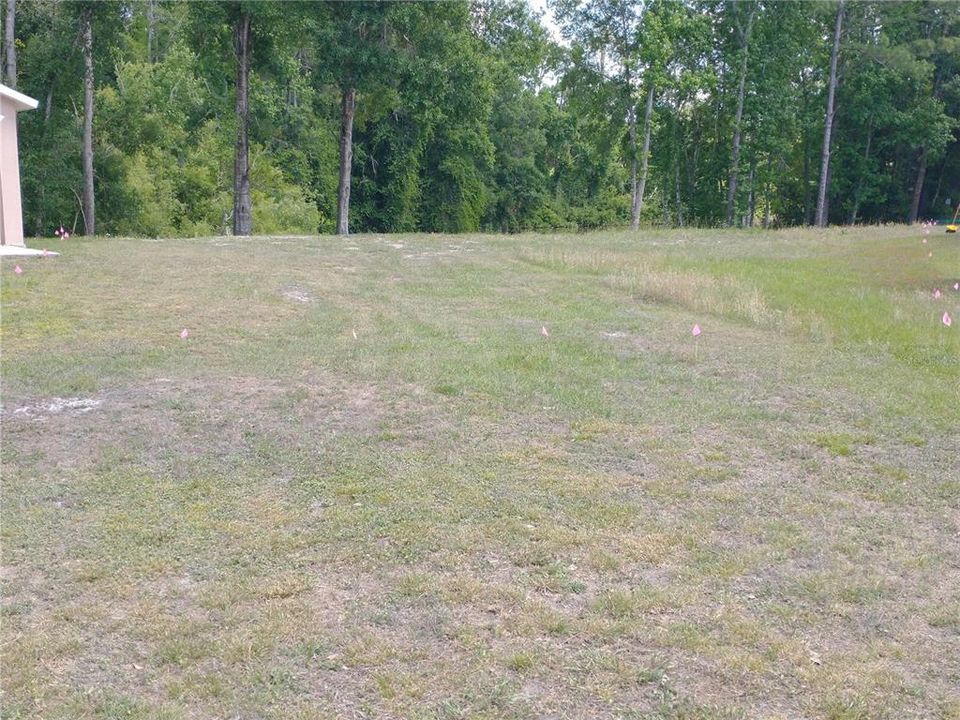 For Sale: $125,000 (0.30 acres)