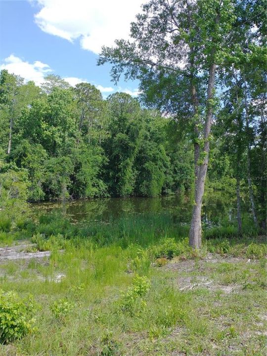 For Sale: $125,000 (0.30 acres)