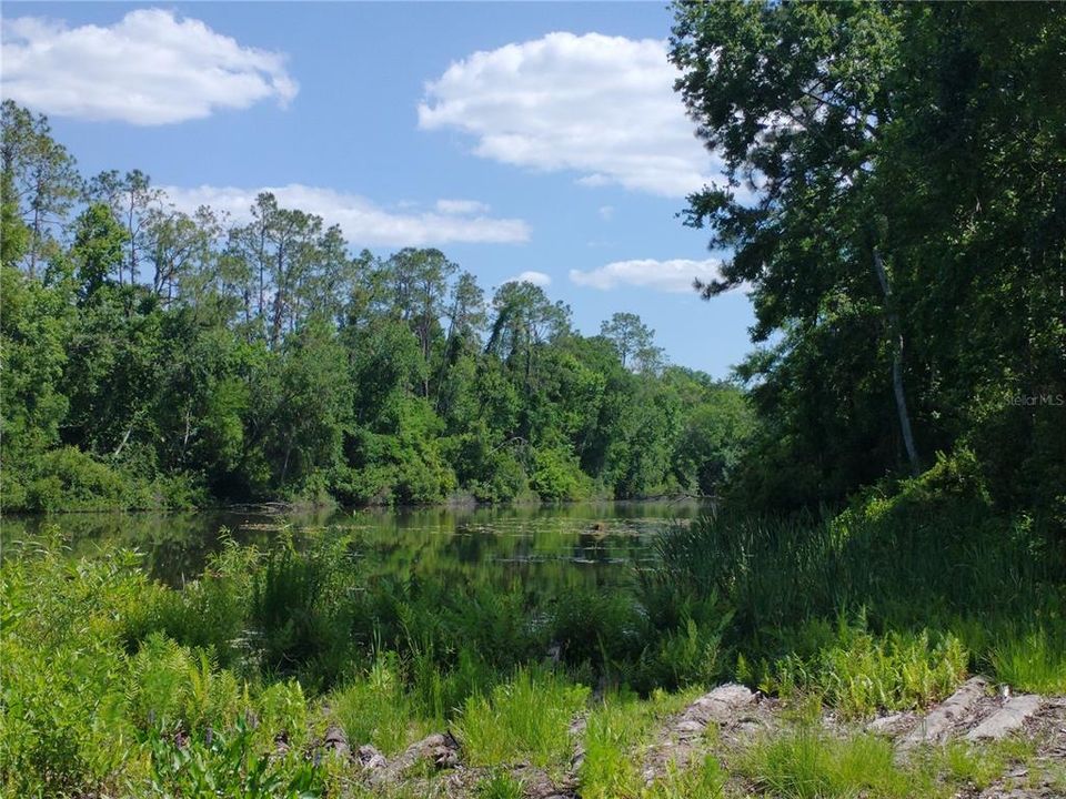 For Sale: $125,000 (0.30 acres)