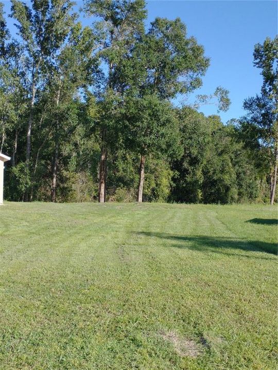 For Sale: $125,000 (0.30 acres)