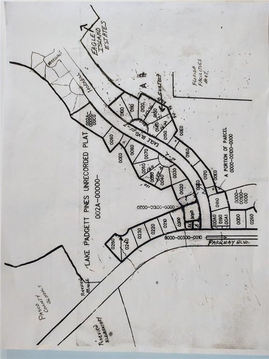 For Sale: $125,000 (0.30 acres)