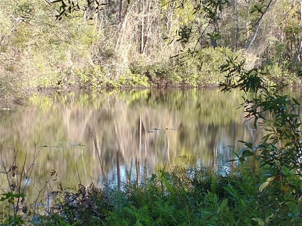 For Sale: $125,000 (0.30 acres)