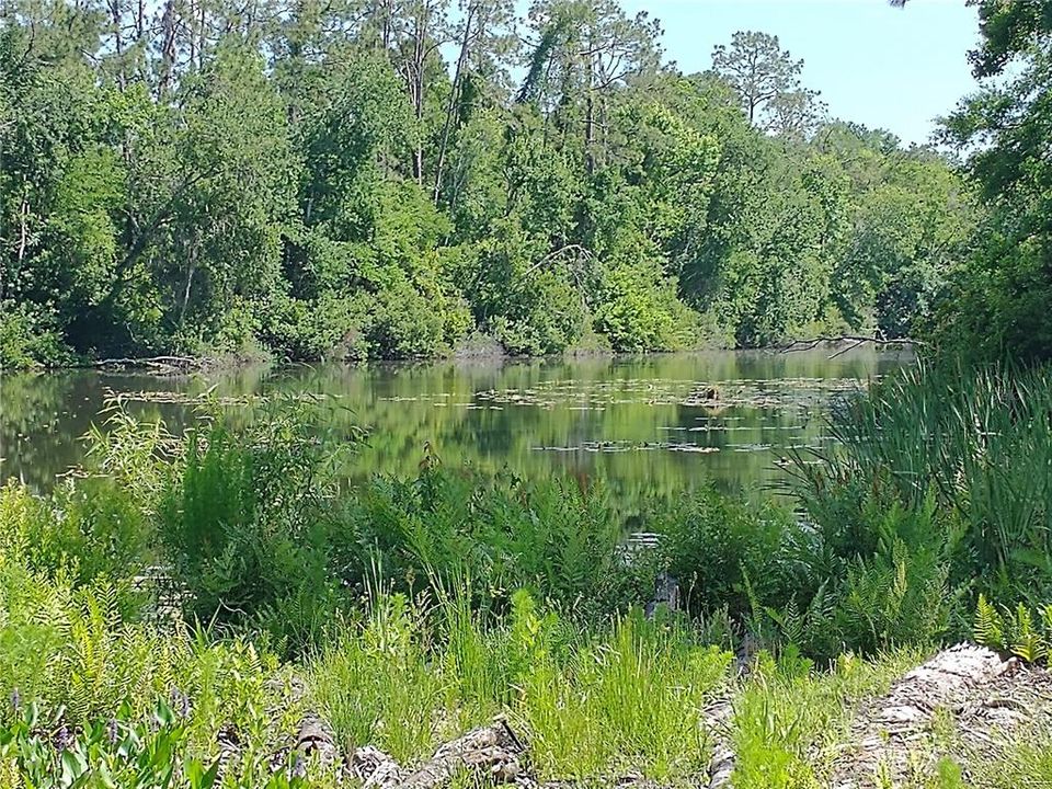For Sale: $125,000 (0.30 acres)