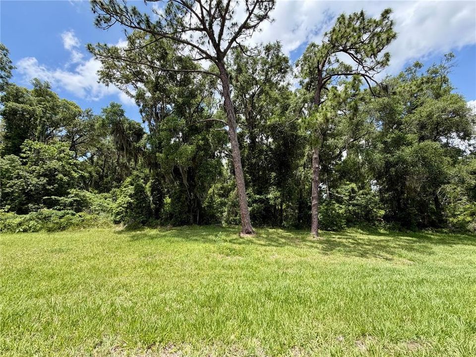На продажу: $3,500,000 (23.26 acres)