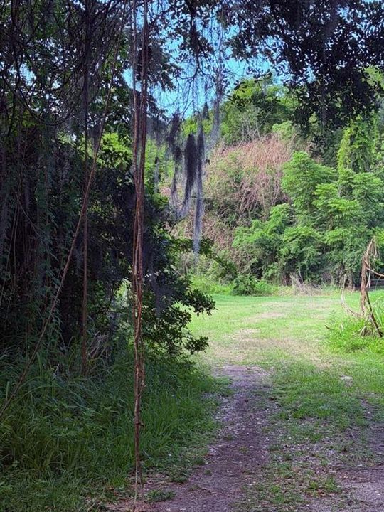 待售: $1,200,000 (1.13 acres)