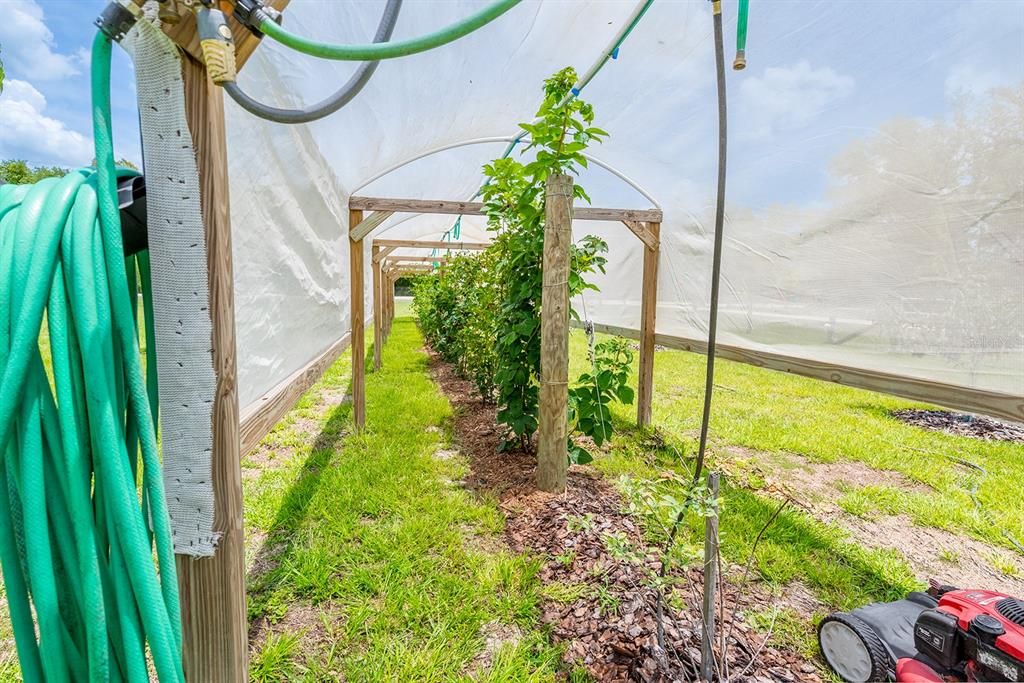 For Sale: $345,500 (3 beds, 2 baths, 1395 Square Feet)