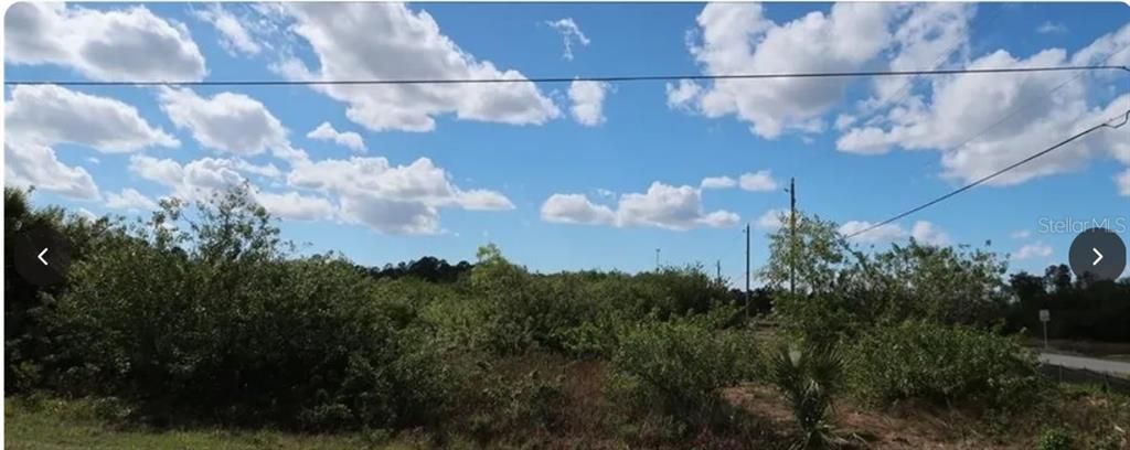 For Sale: $45,000 (0.34 acres)