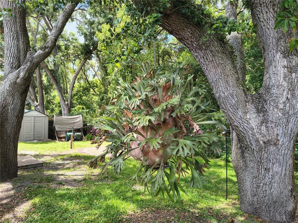 For Sale: $245,000 (2 beds, 2 baths, 1066 Square Feet)