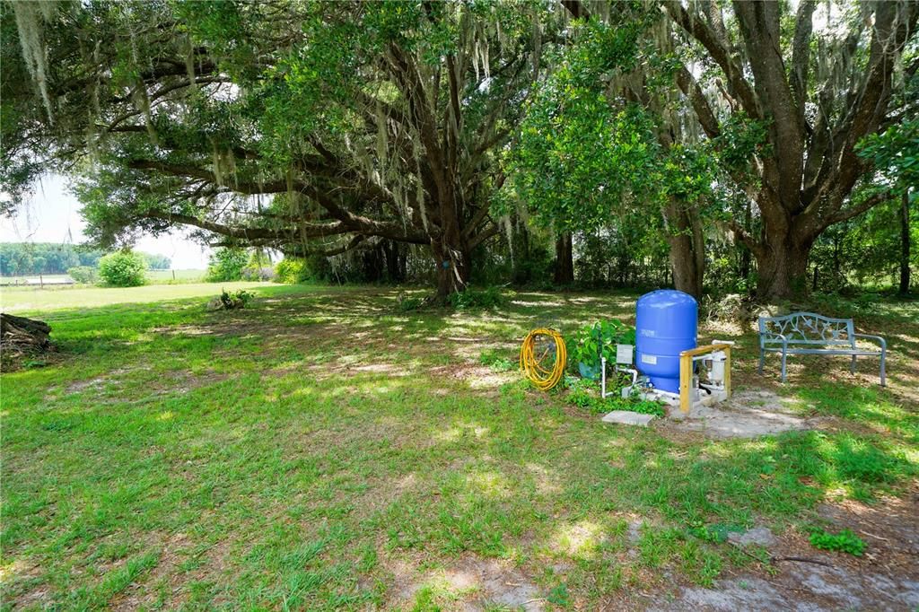Activo con contrato: $439,900 (3 camas, 2 baños, 1392 Pies cuadrados)