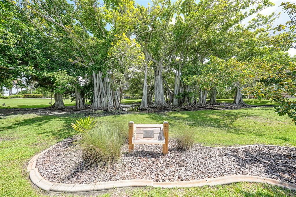 For Sale: $244,700 (2 beds, 2 baths, 1394 Square Feet)