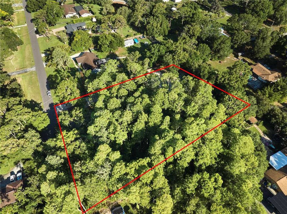 待售: $425,000 (1.24 acres)