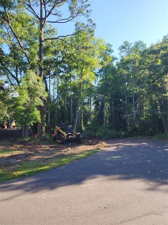 待售: $425,000 (1.24 acres)