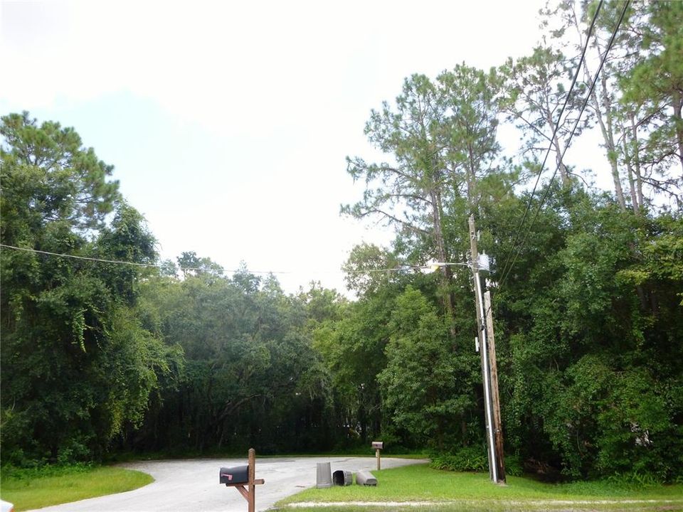 待售: $425,000 (1.24 acres)