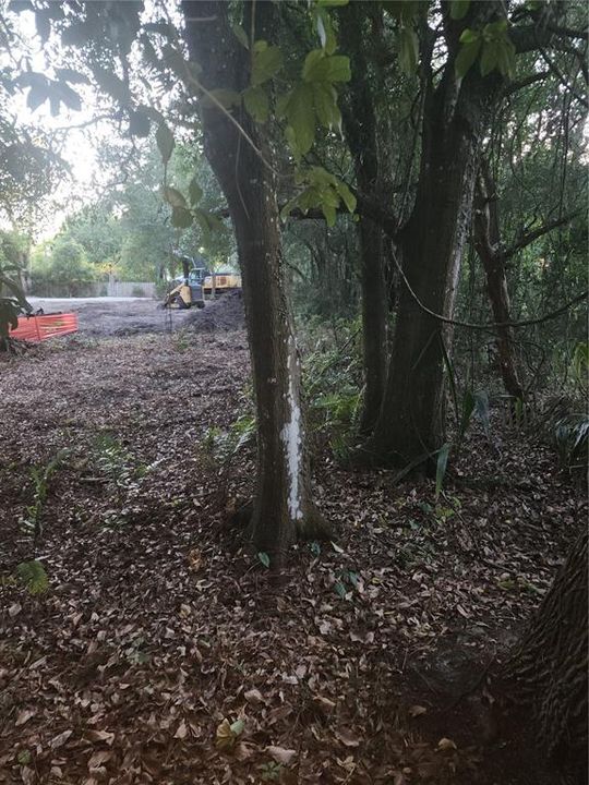 待售: $425,000 (1.24 acres)