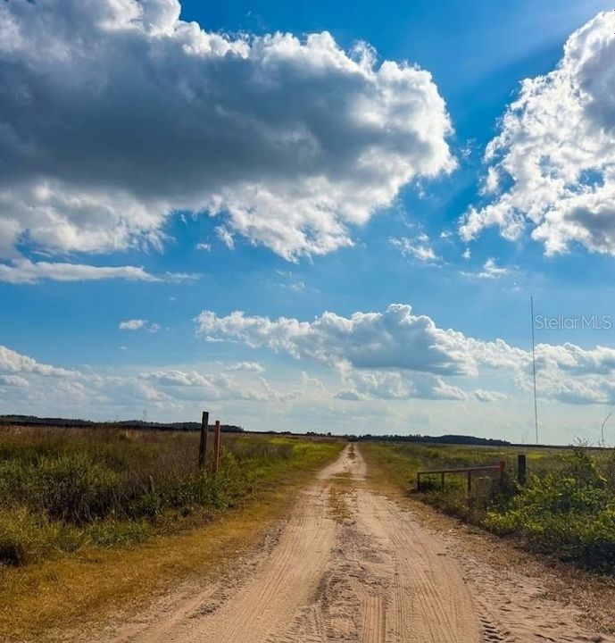 For Sale: $15,000 (1.24 acres)